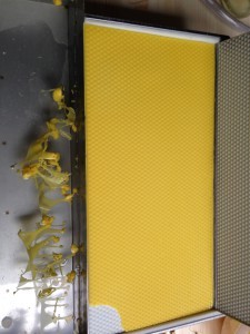 Bienenwachs-Mittelwand